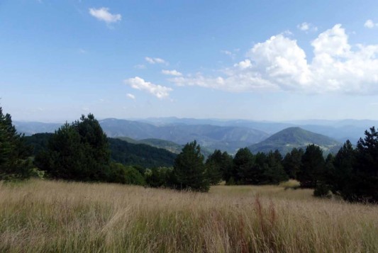 Berge im Tara-Nationalpark in Serbien